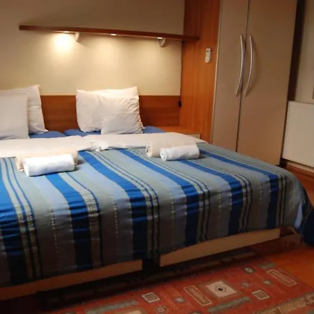 Car Royal Apartments And Rooms Novi Sad Room photo